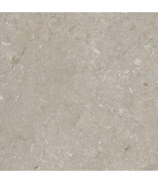 Robusto Ceramica Shellstone Taupe