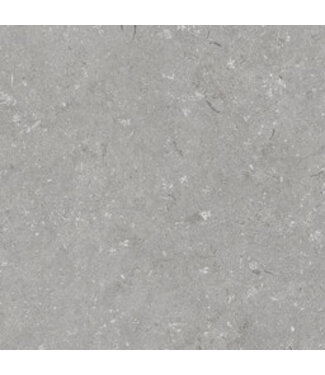 Robusto Ceramica Shellstone Grigio