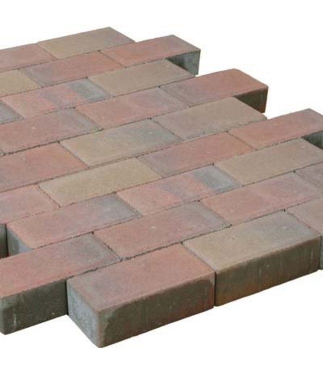 Beschichteter Betonklinker Tremico Rechteckpflaster Altbunt 21x10,5x7 cm