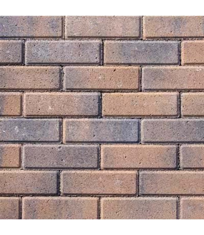 Beschichteter Betonklinker Tremico Dickformat Bronze 20x6,7x6 cm