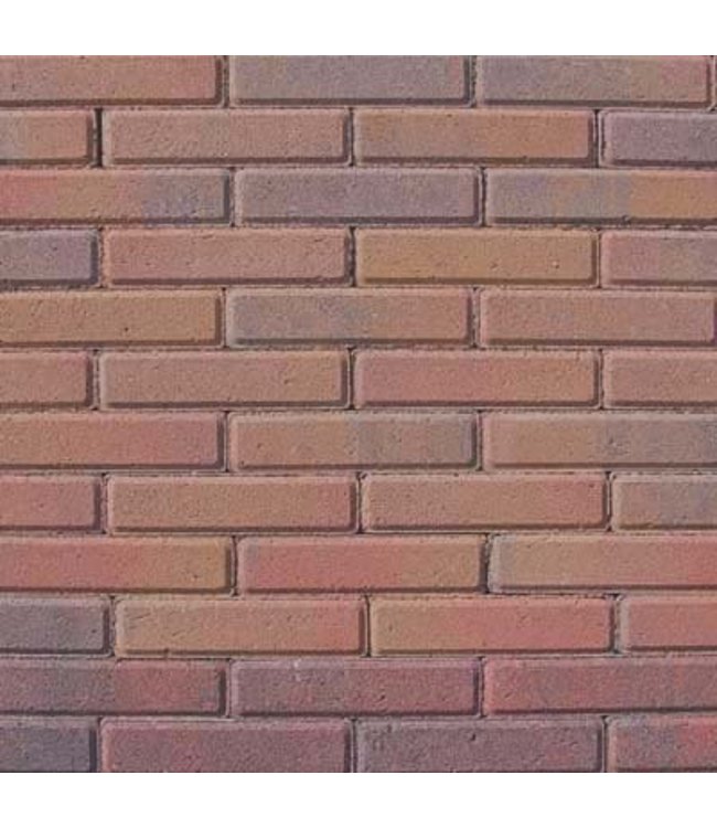 Beschichteter Betonklinker Tremico Waalformat Altbunt 20x5x6 cm