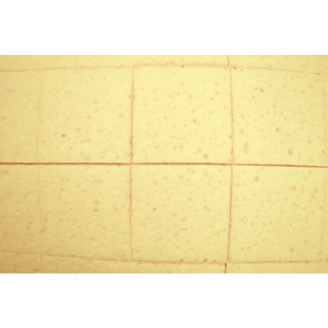 Super Prof Schoonmaakspons kunststof 280x140x30 mm ingesneden