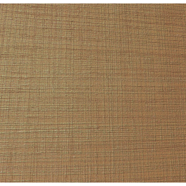 Boldrini Structuurborstel 15 x 10 cm. Yuta