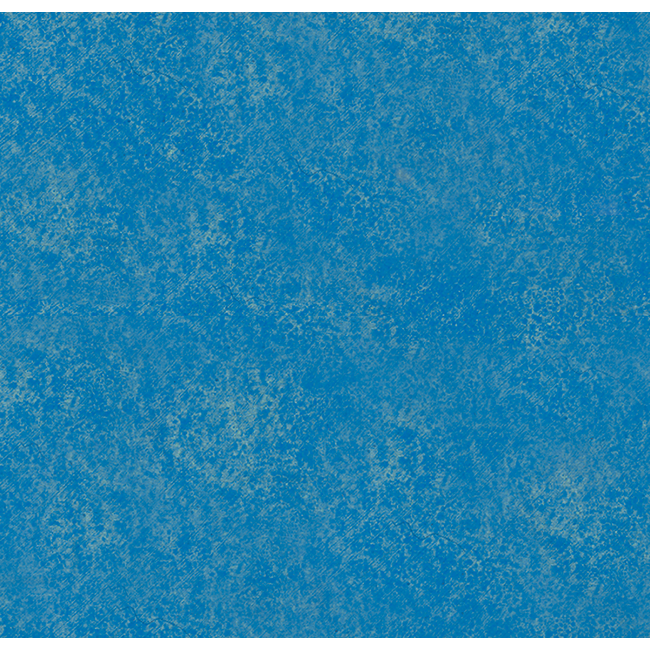 Boldrini Natuurspons roller 20 cm. Depths