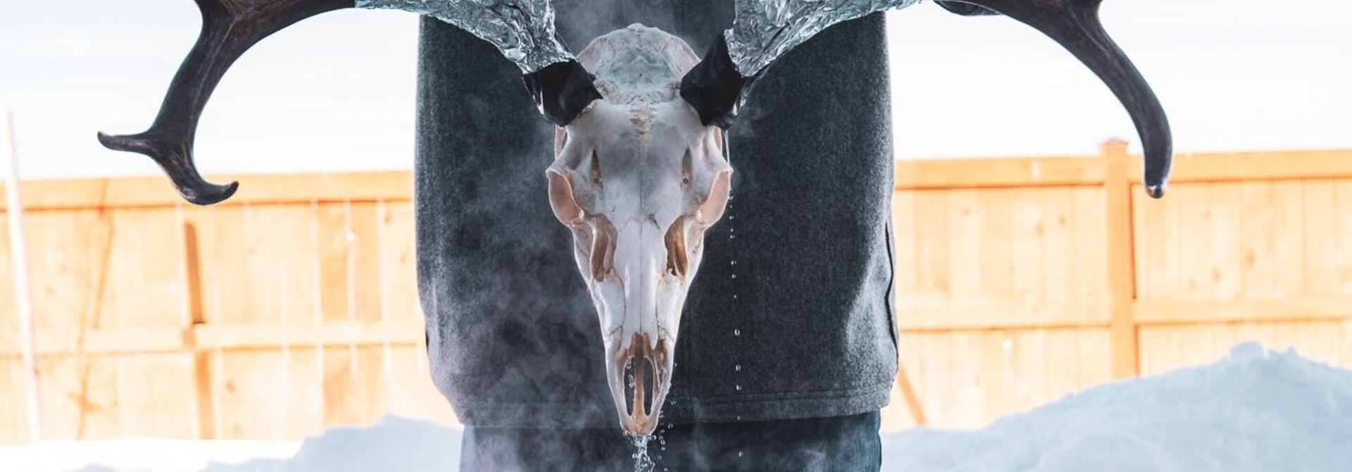 HOW TO MAKE A EUROPEAN MOUNT