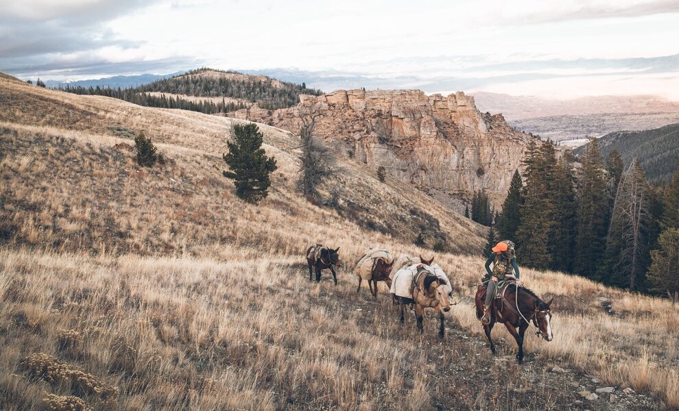 JESSIE ALLEN: MORE THAN MISS WYOMING