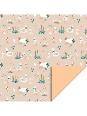 House of products Inpakpapier Baby Gans - Perzik