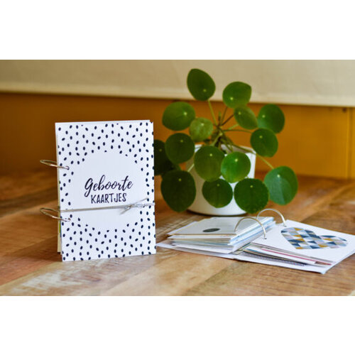 Fien & Feau Bewaarbundel - Geboortekaartjes A5 - Gestipt