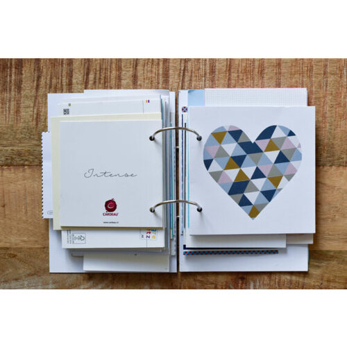 Fien & Feau Bewaarbundel - Zwangerschapskaartjes - A5 Fien & Feau Bewaarbundel - Zwangerschapskaartjes - A5