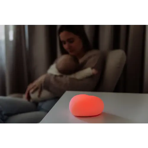 Flow Amsterdam Voedingslampje Ruby - Dusty Pink - Oud Roze Flow Amsterdam Voedingslampje Ruby - Dusty Pink - Oud Roze