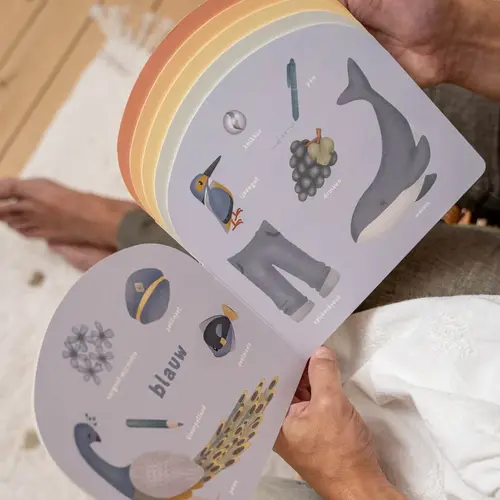 little dutch Regenboog Kleurenboek