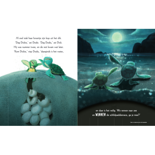 Uitgeverij Gottmer Schiet op, schildpadjes