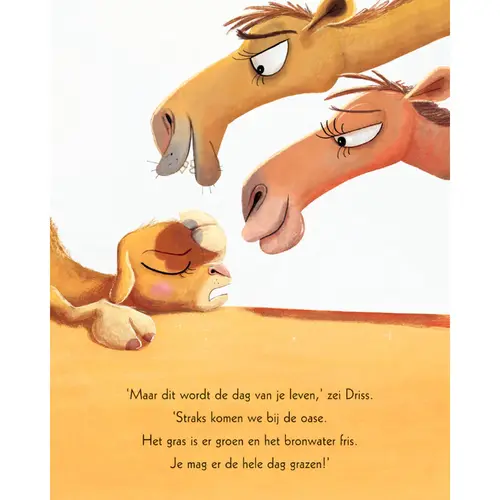 Uitgeverij Gottmer Lars de Dwarse Dromedaris