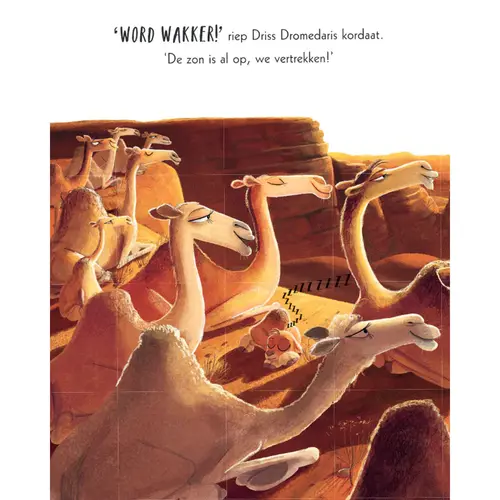 Uitgeverij Gottmer Lars de Dwarse Dromedaris