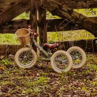 Trybike driewieler: het fietsje dat meegroeit met kinderen van 1 jaar tot 5 jaar!