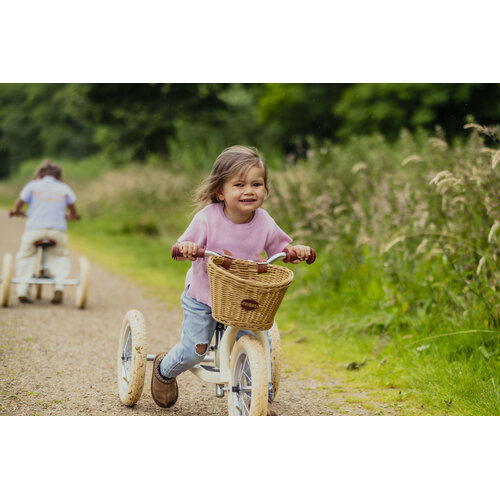 Trybike Fietsmandje