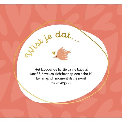 Lantaarn Publishers Hoera Je bent zwanger - Kalender Lantaarn Publishers Hoera Je bent zwanger - Kalender