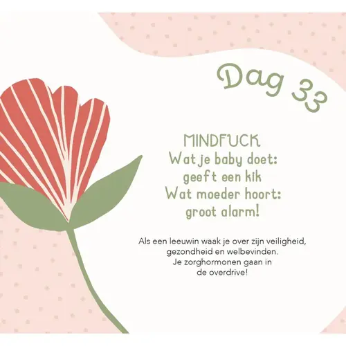 Lantaarn Publishers Baby's Eerste 100 dagen - Kalender