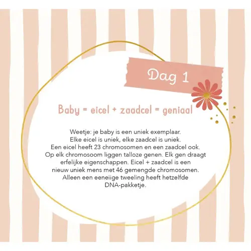 Lantaarn Publishers Baby's Eerste 100 dagen - Kalender