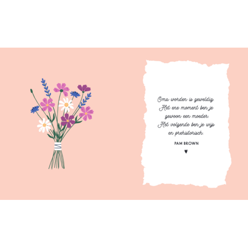 Lantaarn Publishers Hoera, je wordt oma | cadeauboekje Lantaarn Publishers Hoera, je wordt oma | cadeauboekje