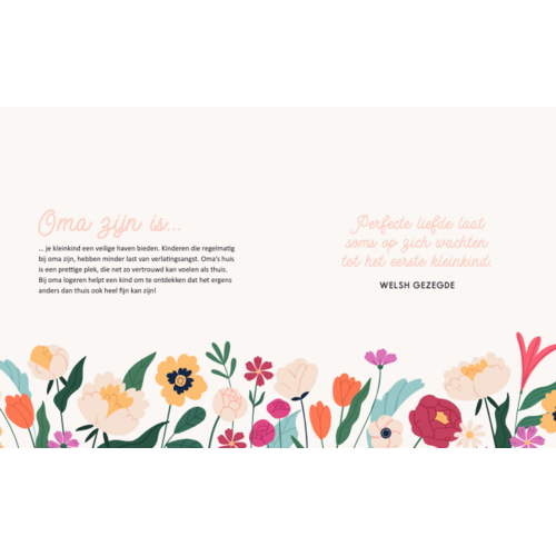 Lantaarn Publishers Hoera, je wordt oma | cadeauboekje Lantaarn Publishers Hoera, je wordt oma | cadeauboekje