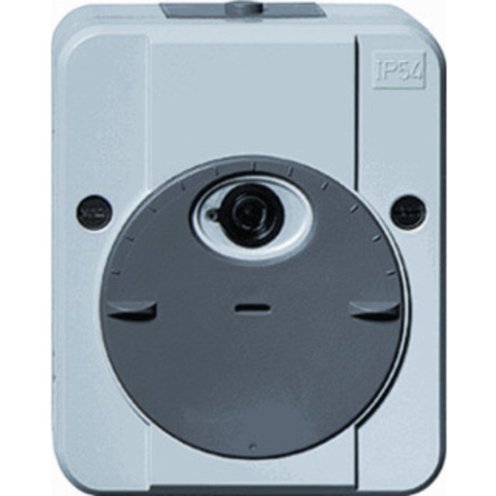 Schneider Electric Schneider Electric Merten Schemerschakelaar met schak.vertr.LG - MTN544894