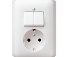 Gira Gira Standaard 55 Combinatie serieschakelaar/stopcontact met randaarde Zuiver Wit 17503