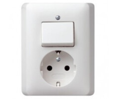 Gira Gira Wandcontactdoos met randaarde en wisselschakelaar Zuiver wit (hagelwit) MAT 017604
