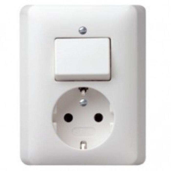 Gira Gira Wandcontactdoos met randaarde en wisselschakelaar Zuiver wit (hagelwit) MAT 017604