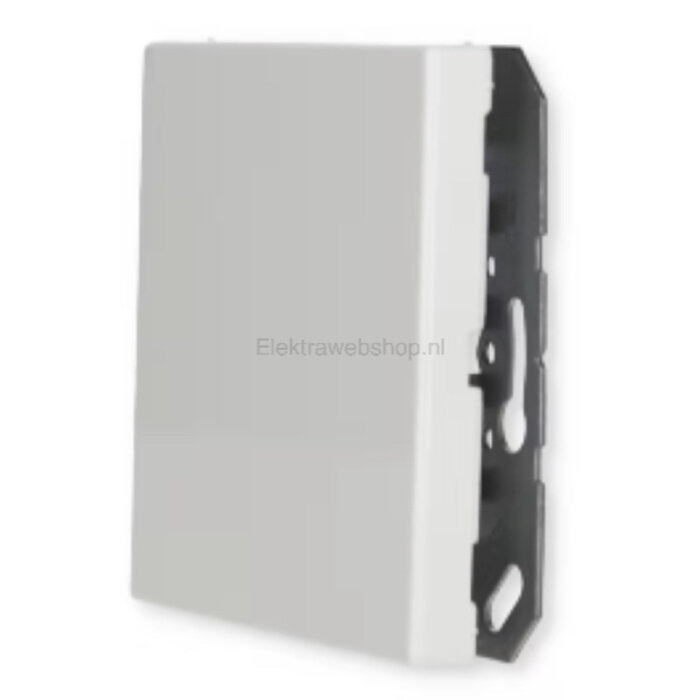 Jung Jung LS990 blindplaat alpinwit (hagelwit) LS961BWW