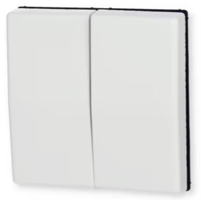 Jung Jung Bedieningswip serie/wissel-wissel Alpinwit (hagelwit) AS591-5WW