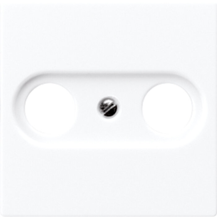 Jung Jung Centraalplaat CAI Alpinwit (hagelwit) A561PLTVWW