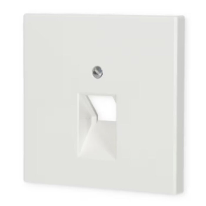 Jung Jung LS990 afdekplaat 1xRJ45/RJ11 alpinwit (hagelwit) LS969-1UAWW