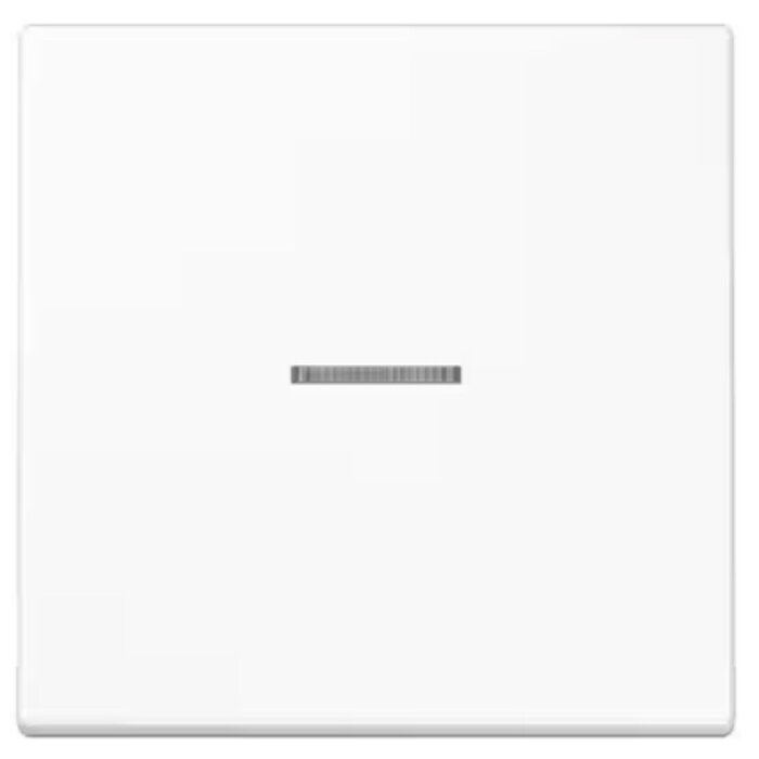 Jung Jung LS990 Bedieningswip met lens alpinwit (hagelwit) LS990KO5WW