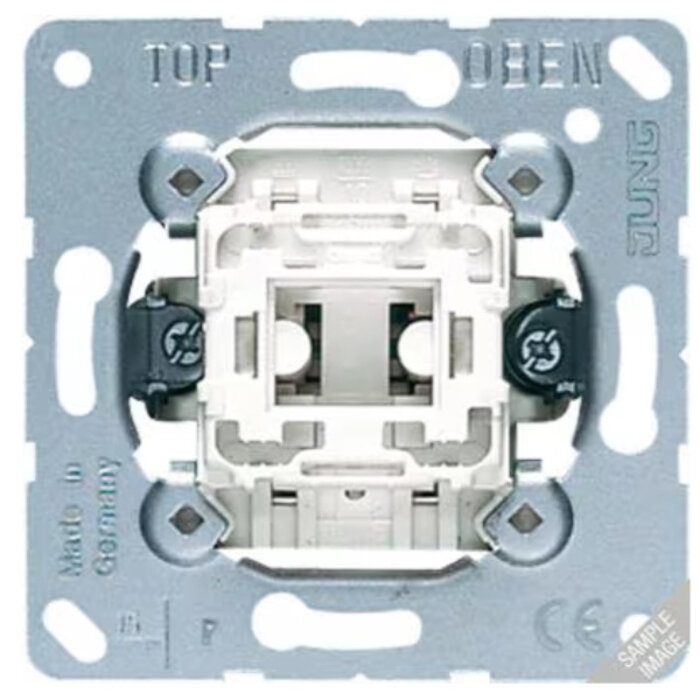 Jung Jung 2-polige schakelaar 502U