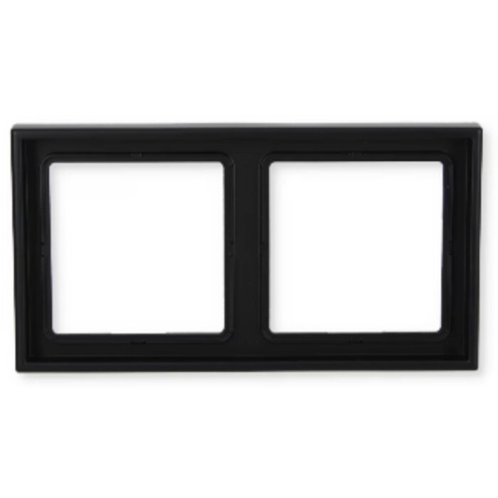 Jung Jung LS990 afdekraam 2-voudig grafietzwart mat LS982SWM