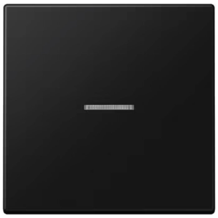 Jung Jung LS990 bedieningswip met lens grafietzwart mat LS990KO5SWM