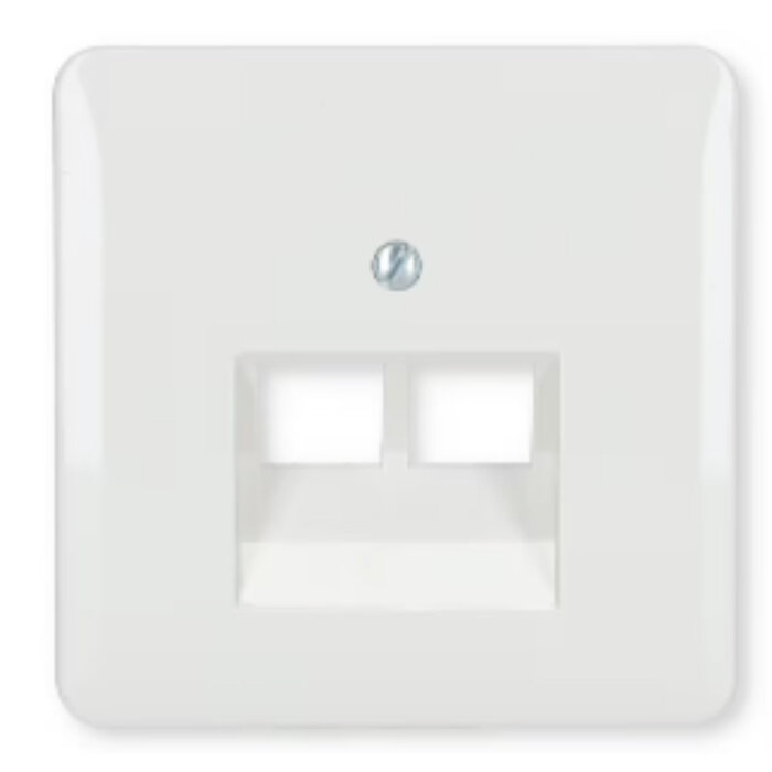 Jung Jung CD500 afdekking 2-voudig voor data, uae alpinwit - CD569-2UAWW