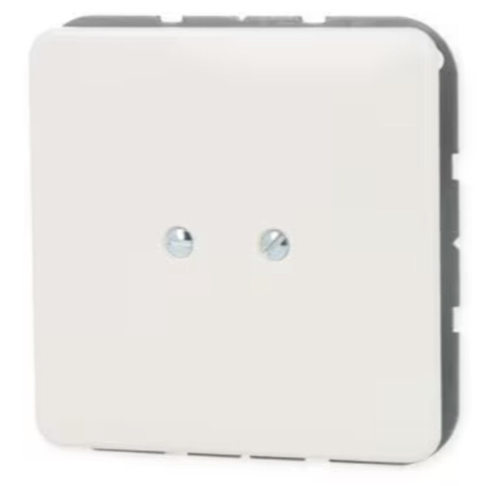 Jung Jung CD500 bedieningselement blindplaat alpinwit - CD561BWW