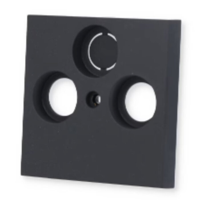 Gira Gira  Centraalplaat CAI antraciet 086928