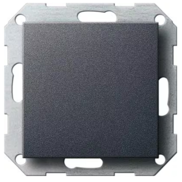 Gira Gira Blindplaat antraciet 026828