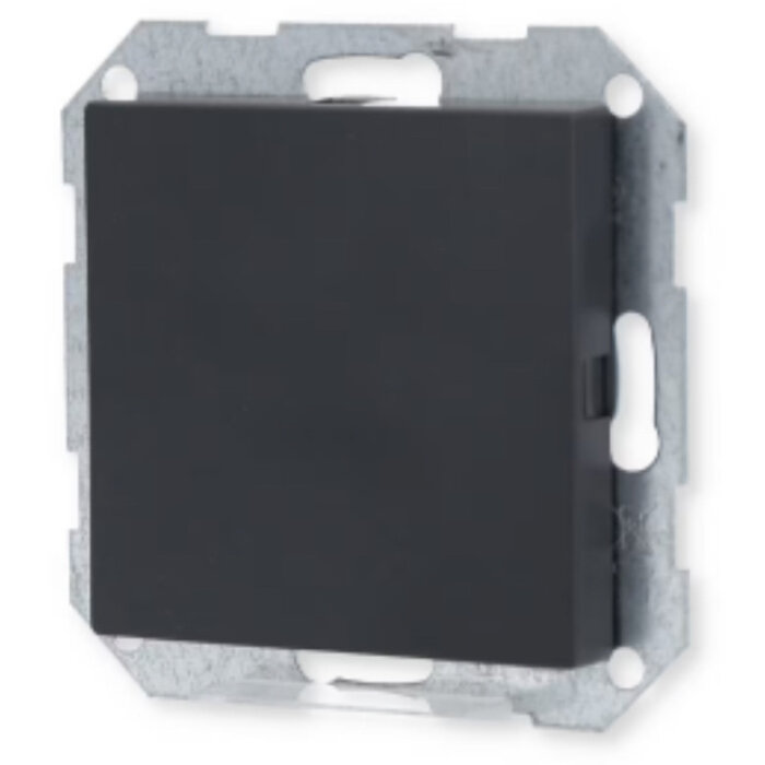 Gira Gira Blindplaat antraciet 026828