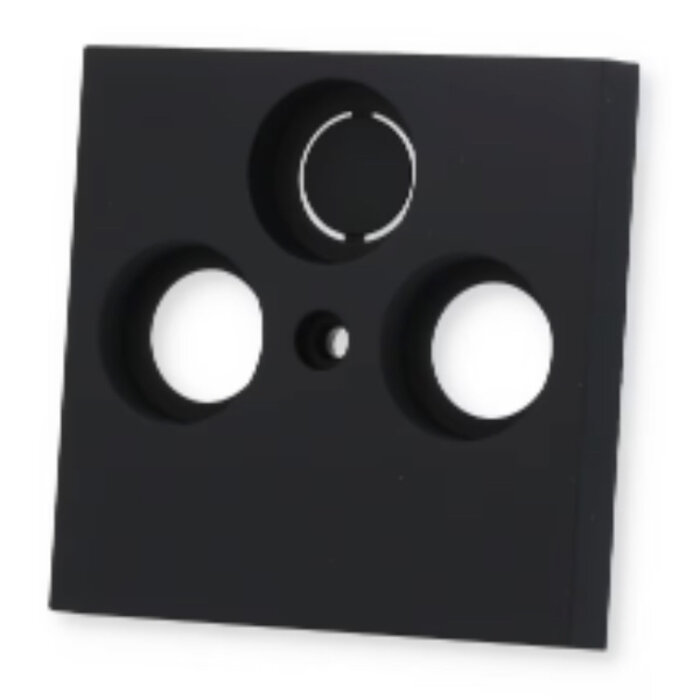 Gira Gira Centraalplaat CAI Mat Zwart 0869005