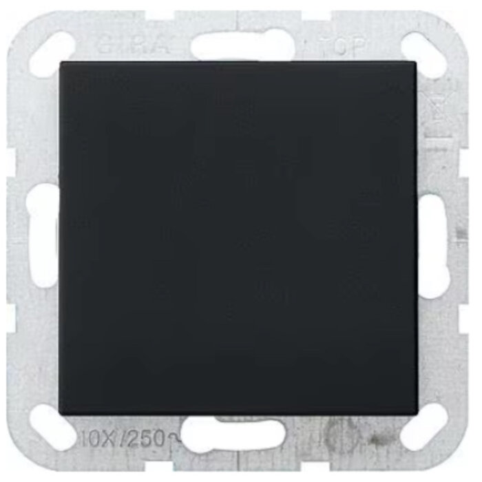 Gira Gira Blindplaat Mat Zwart 0268005