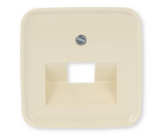 Busch-Jaeger Busch-Jaeger afdekplaat 1xRJ45 / RJ11 wit (creme) 1803-212
