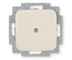 Busch-Jaeger Busch-Jaeger blindplaat wit (creme) 2538-212