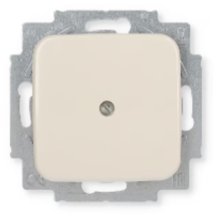 Busch-Jaeger Busch-Jaeger blindplaat wit (creme) 2538-212