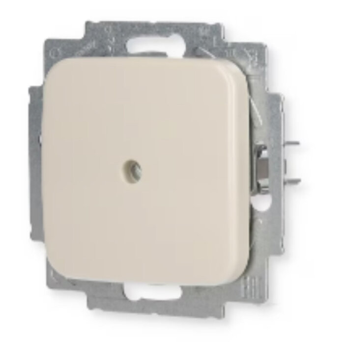 Busch-Jaeger Busch-Jaeger blindplaat wit (creme) 2538-212