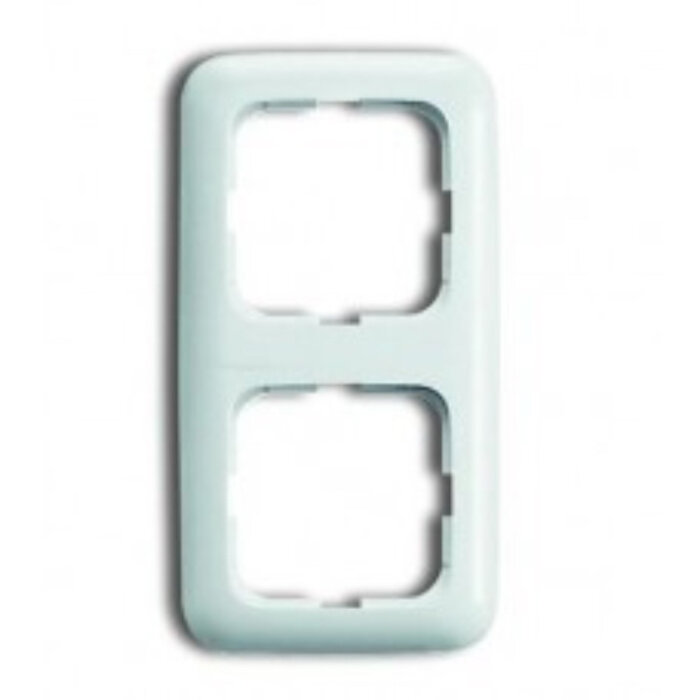 Busch-Jaeger Busch-Jaeger afdekraam 2 voudig Standaard alpinwit (hagelwit) 2512-214