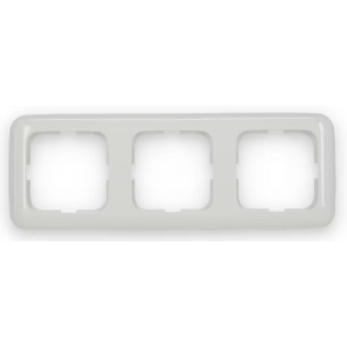 Busch-Jaeger Busch-Jaeger afdekraam 3 voudig Standaard alpinwit (hagelwit) 2513-214